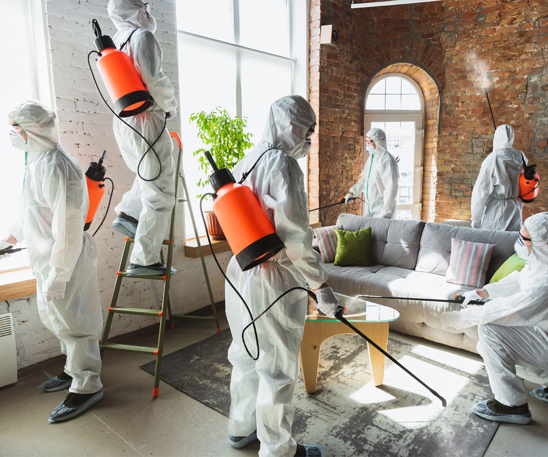 pest-control-team
